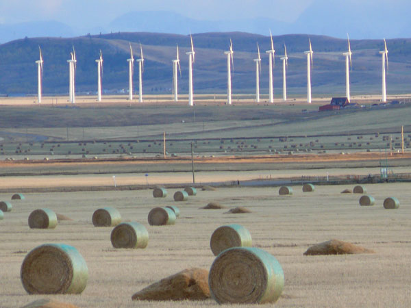 alberta wind turbines and round hay bales