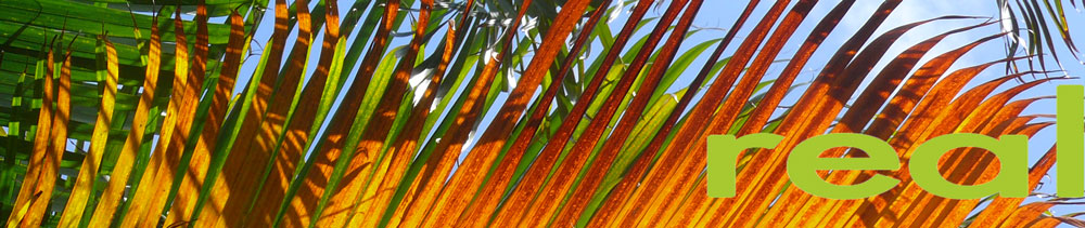 Real Palm frawn