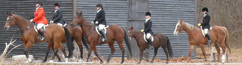 fox chase - horse and rider and hounds - no fox actually