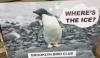 March for Science penguin looking for ice