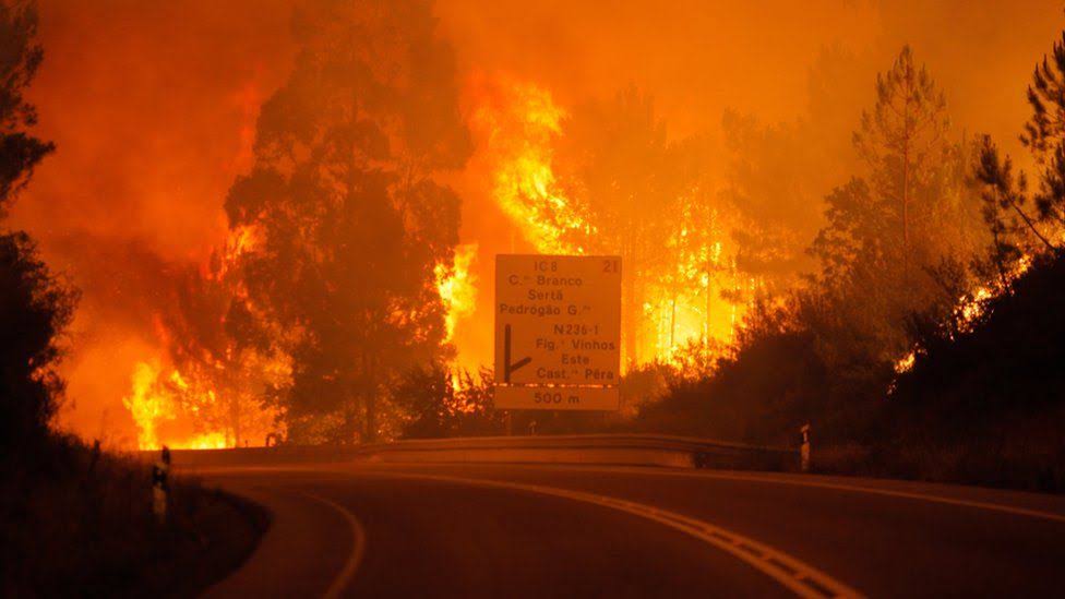 Portugal forest fires