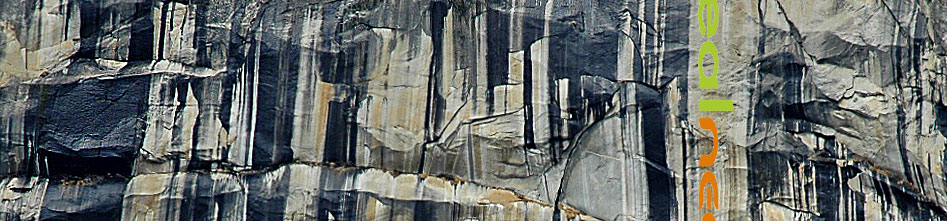 Rigphoto Yosemite rock stains as Realneo banner