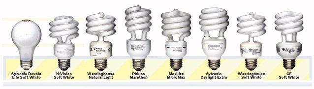 The Compact Fluorescent Bulbs That Were Tested