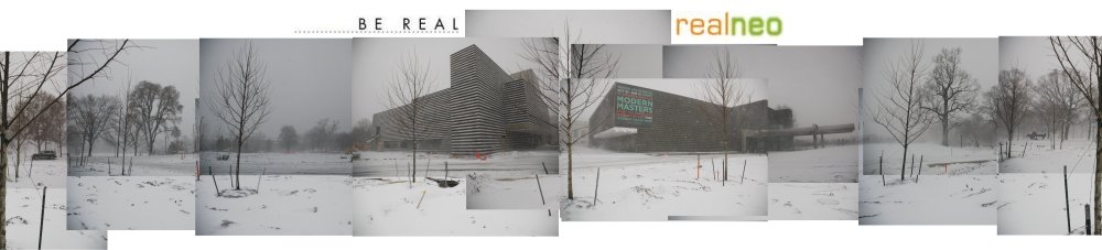 Cleveland Museum of Art winter REALNEO logo