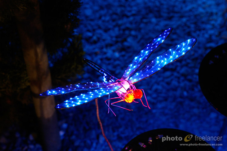 Close up of LED dragonfly