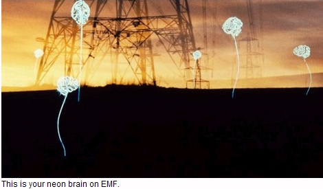 Your Brain On EMF