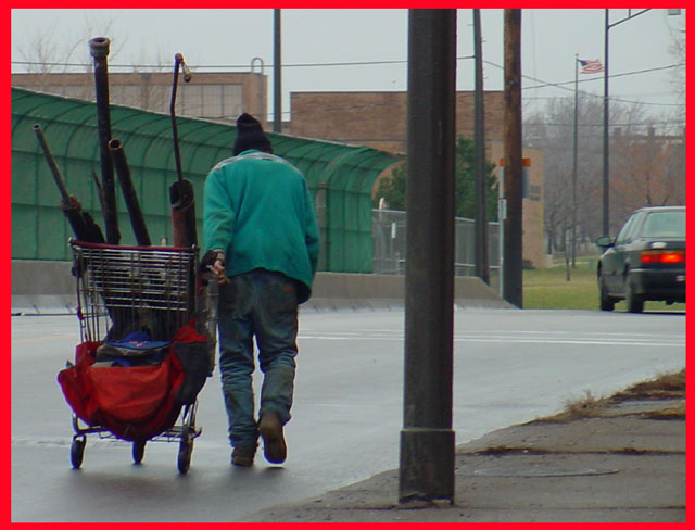 REAL full shopping cart